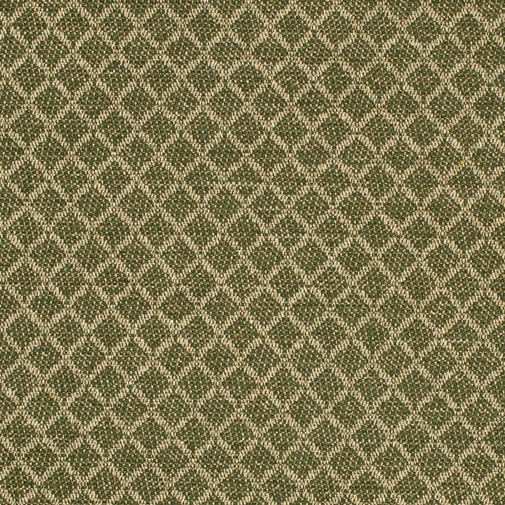F400-181 by Charlotte Designer Fabric Cypress 52% Recycled Polyester, 26% Polyester, 22% Recycled Cotton USA </p><p>Repeat: Horizontal 1" x Vertical 1" 54 Inches - Swanky Fabrics -