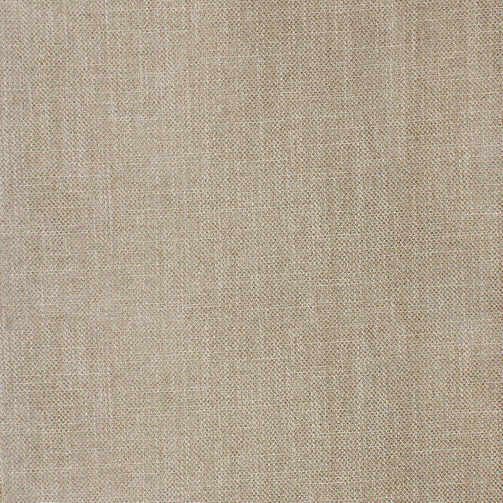 F4047 Desert by Greenhouse Designer Fabric 100% Polyester China 50,000 </p><p>Repeat: None 56" - Swanky Fabrics -