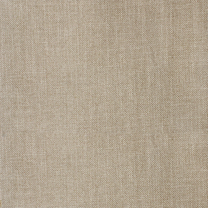 F4047 Desert by Greenhouse Designer Fabric F04: Performance Neutral 100% Polyester China 50,000 double rubs Performance </p><p>Repeat: None 56" - Swanky Fabrics -