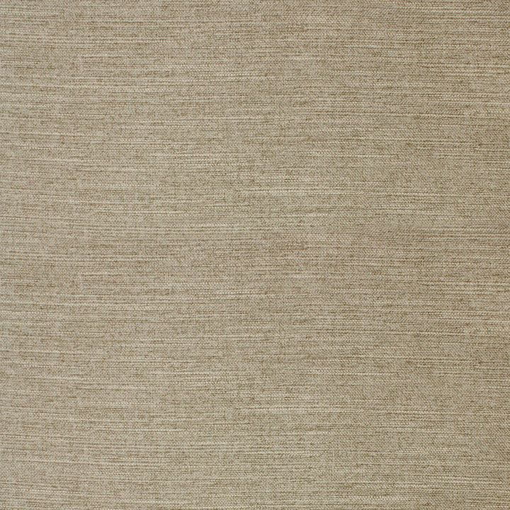 F4063 Fawn by Greenhouse Designer Fabric F04: Performance Neutral 100% Polyester China 60,000 double rubs Performance </p><p>Repeat: None 56" - Swanky Fabrics -