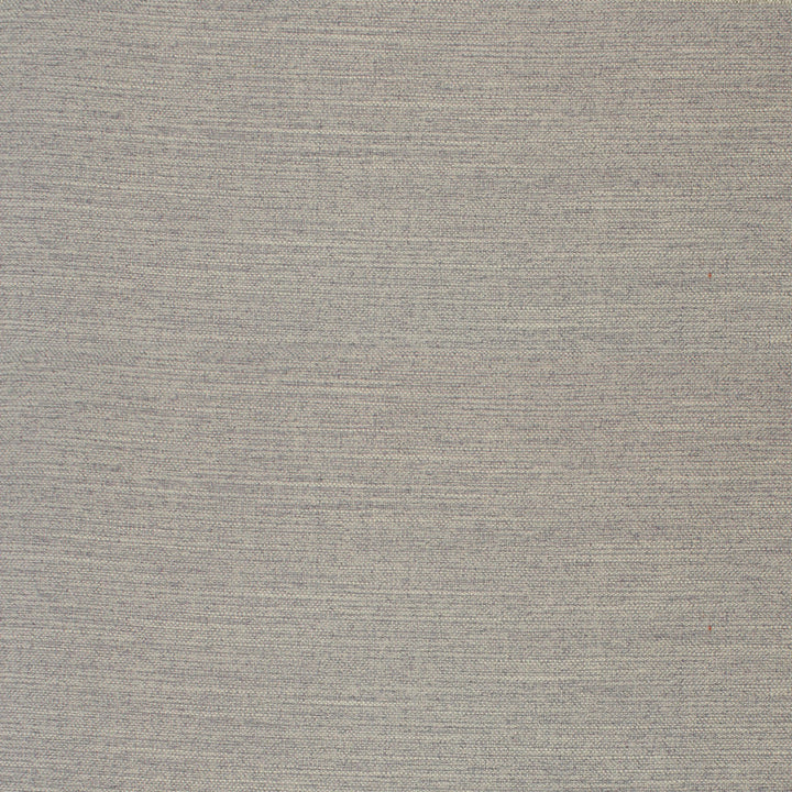 F4071 Ash by Greenhouse Designer Fabric F04: Performance Neutral 100% Polyester China 60,000 double rubs Performance </p><p>Repeat: None 56" - Swanky Fabrics -