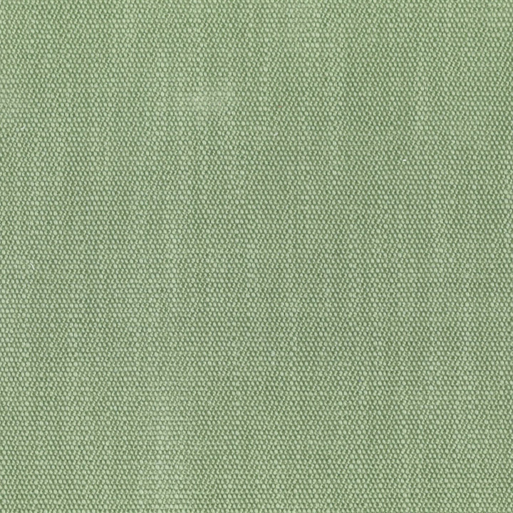 F4089 Basil by Greenhouse Designer Fabric F05: Performance Color 80% Polyester, 20% Viscose China 50,000 double rubs Performance </p><p>Repeat: None 55" - Swanky Fabrics -
