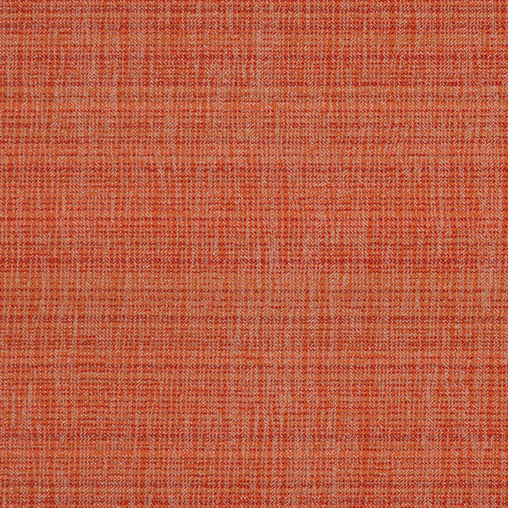 F4165 Punch by Greenhouse Designer Fabric 63% Polypropylene, 37% Polyester
 2,000 Light Hours Mexico 38,000 </p><p>Repeat: 4.25" H, 10" V 54" - Swanky Fabrics -