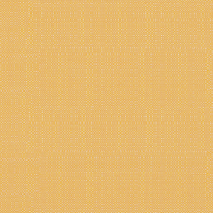 F4170 Daffodil by Greenhouse Designer Fabric F06: Outdoor 62% Polypropylene, 38% Polyester 2,000 Light Hours Mexico 38,000 double rubs Water Repellent </p><p>Repeat: .5" H, .5" V 54" - Swanky Fabrics -