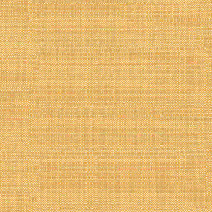 F4170 Daffodil by Greenhouse Designer Fabric 62% Polypropylene, 38% Polyester
 2,000 Light Hours Mexico 38,000 </p><p>Repeat: .5" H, .5" V 54" - Swanky Fabrics -