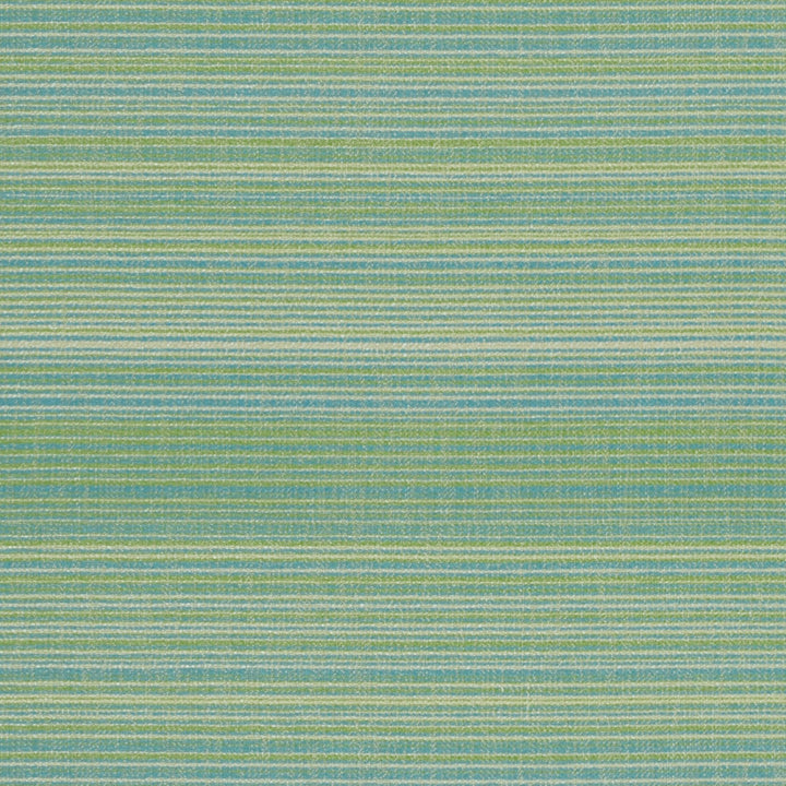 F4177 Jade by Greenhouse Designer Fabric 63% Polypropylene, 37% Polyester
 2,000 Light Hours Mexico 38,000 </p><p>Repeat: 4.25" H, 10" V 54" - Swanky Fabrics -