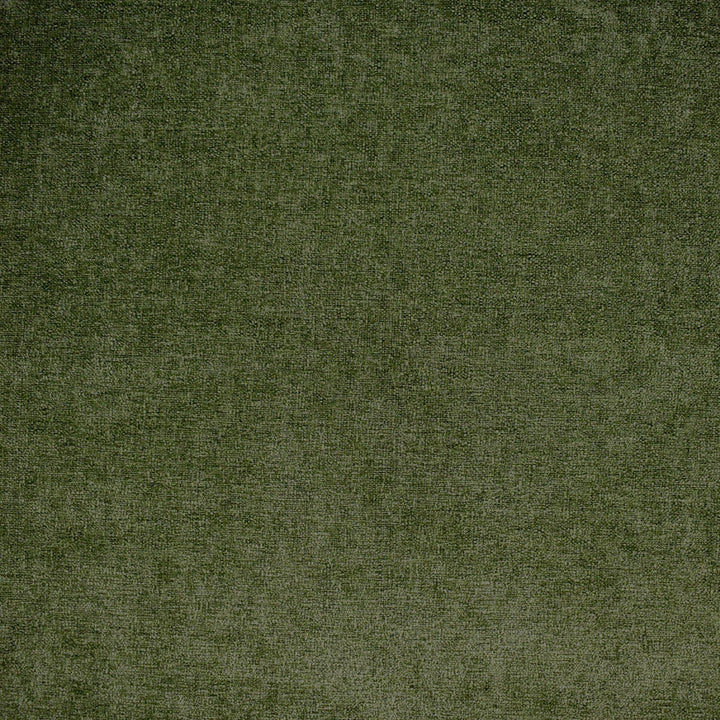 F4191 Ivy by Greenhouse Designer Fabric F07: Value Plush 100% Polyester China 60,000 double rubs </p><p>Repeat: None 54" - Swanky Fabrics -