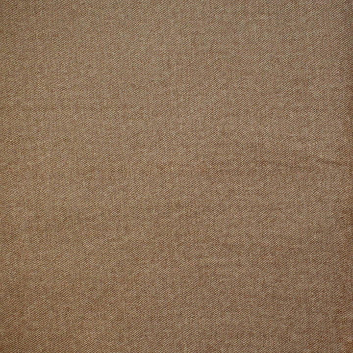 F4199 Sandy Brown by Greenhouse Designer Fabric F07: Value Plush 100% Polyester China 100,000 double rubs </p><p>Repeat: None 55" - Swanky Fabrics -