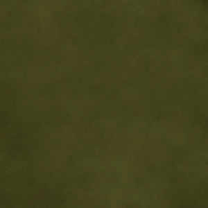 F4209 Avocado by Greenhouse Designer Fabric