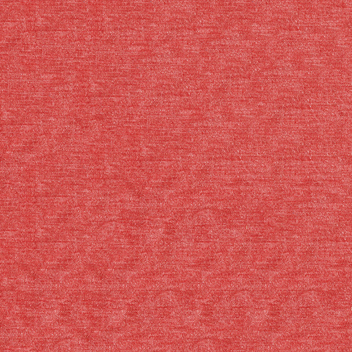 F4212 Gladiola by Greenhouse Designer Fabric F07: Value Plush 65% Polyester, 35% Viscose China 60,000 double rubs </p><p>Repeat: No Definite Repeat 56" - Swanky Fabrics -