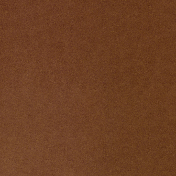 F4266 Nutmeg by Greenhouse Designer Fabric F10: Performance Neutrals 100% Polyester China 105,000 double rubs Endurepel </p><p>Repeat: None 56" - Swanky Fabrics -