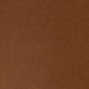 F4266 Nutmeg by Greenhouse Designer Fabric