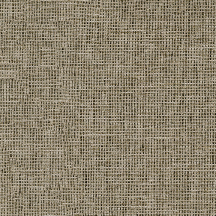 F4273 Truffle by Greenhouse Designer Fabric 100% Polyester China 45,000 </p><p>Repeat: None 57" - Swanky Fabrics -