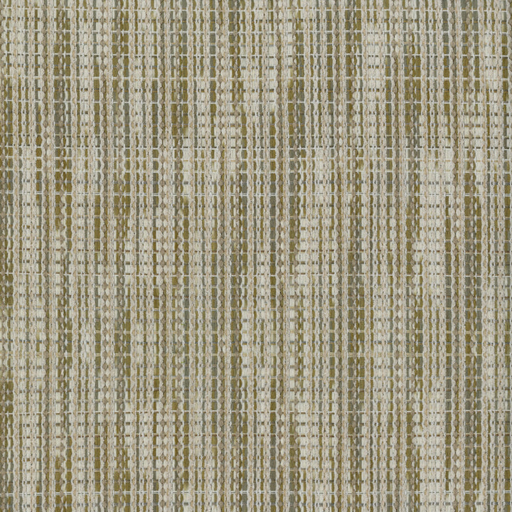 F4319 Birch by Greenhouse Designer Fabric F10: Performance Neutrals 95.5% Polyester, 3.5% Rayon, 1% Cotton China 35,000 double rubs Endurepel </p><p>Repeat: None 54" - Swanky Fabrics -