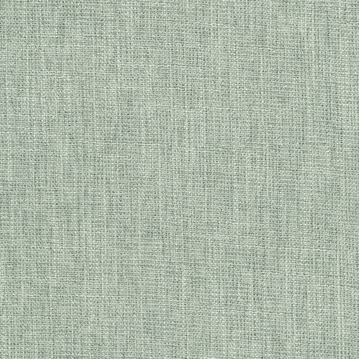 F4381 Pool by Greenhouse Designer Fabric 100% Polyester China 60,000 </p><p>Repeat: None 56" - Swanky Fabrics -