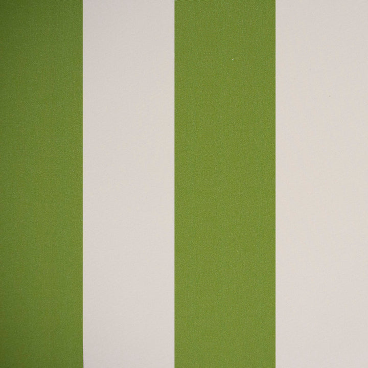 F4510 Fern by Greenhouse Designer Fabric F15: Outdoor 100% Solution-Dyed Polyester 1,000 Light Hours China 150,000 double rubs Endurepel </p><p>Repeat: 6.07" H 54" - Swanky Fabrics -