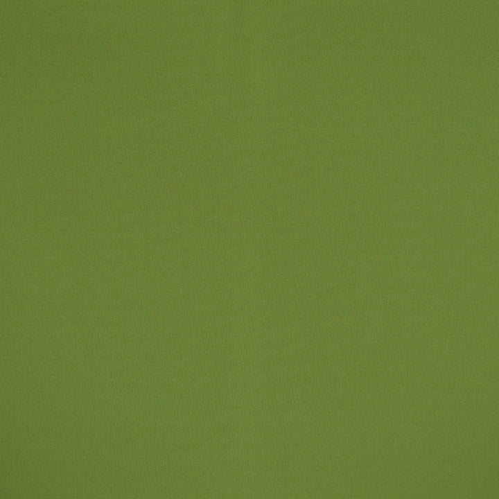 F4523 Spring by Greenhouse Designer Fabric 100% Solution-Dyed Polyester
 1,000 Light Hours China 150,000 </p><p>Repeat: None 54" - Swanky Fabrics -