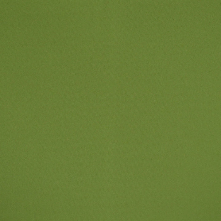 F4523 Spring by Greenhouse Designer Fabric F15: Outdoor 100% Solution-Dyed Polyester 1,000 Light Hours China 150,000 double rubs Endurepel </p><p>Repeat: None 54" - Swanky Fabrics -