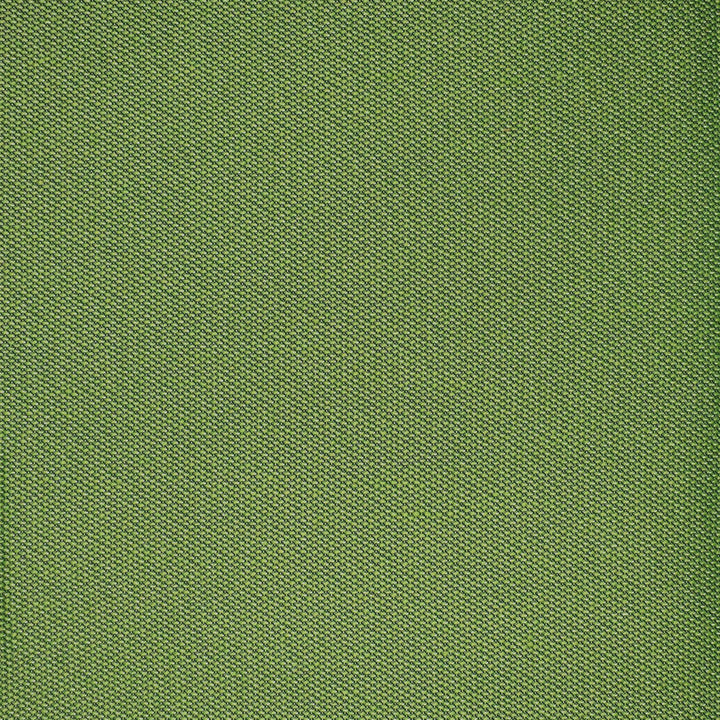 F4525 Grass by Greenhouse Designer Fabric 100% Solution-Dyed Polyester
 1,000 Light Hours China 150,000 </p><p>Repeat: None 54" - Swanky Fabrics -