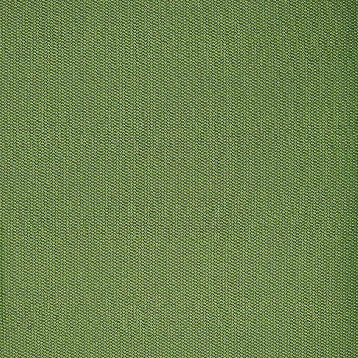 F4525 Grass by Greenhouse Designer Fabric F15: Outdoor 100% Solution-Dyed Polyester 1,000 Light Hours China 150,000 double rubs Endurepel </p><p>Repeat: None 54" - Swanky Fabrics -
