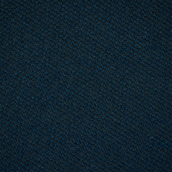 F4539 Polo by Greenhouse Designer Fabric 100% Solution-Dyed Polyester
 1,000 Light Hours China 150,000 </p><p>Repeat: None 54" - Swanky Fabrics -
