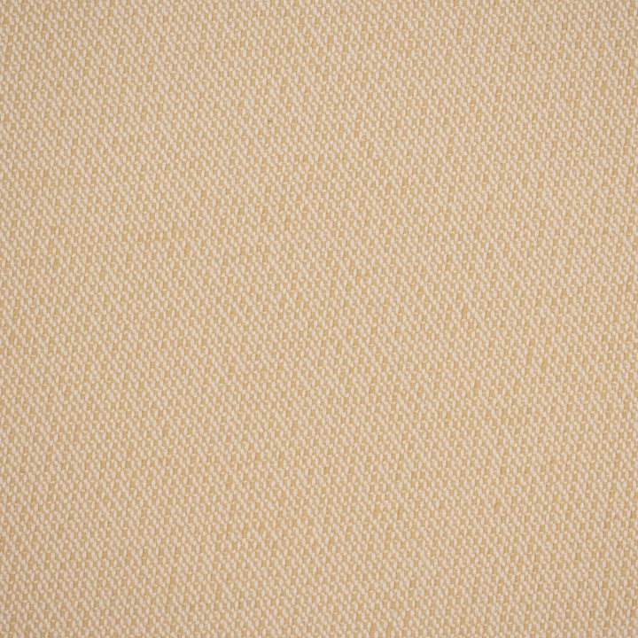 F4546 Buff by Greenhouse Designer Fabric 100% Solution-Dyed Polyester
 1,000 Light Hours China 150,000 </p><p>Repeat: None 54" - Swanky Fabrics -