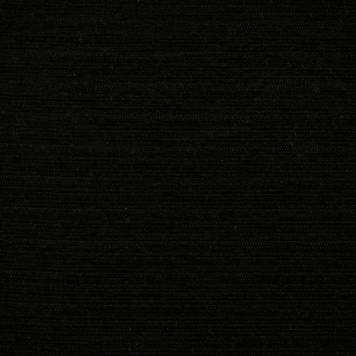 F4573 Raven by Greenhouse Designer Fabric 100% Solution-Dyed Polyester
 1,000 Light Hours China 20,000 </p><p>Repeat: None 54" - Swanky Fabrics -