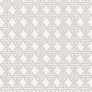 F4582 Cement by Greenhouse Designer Fabric