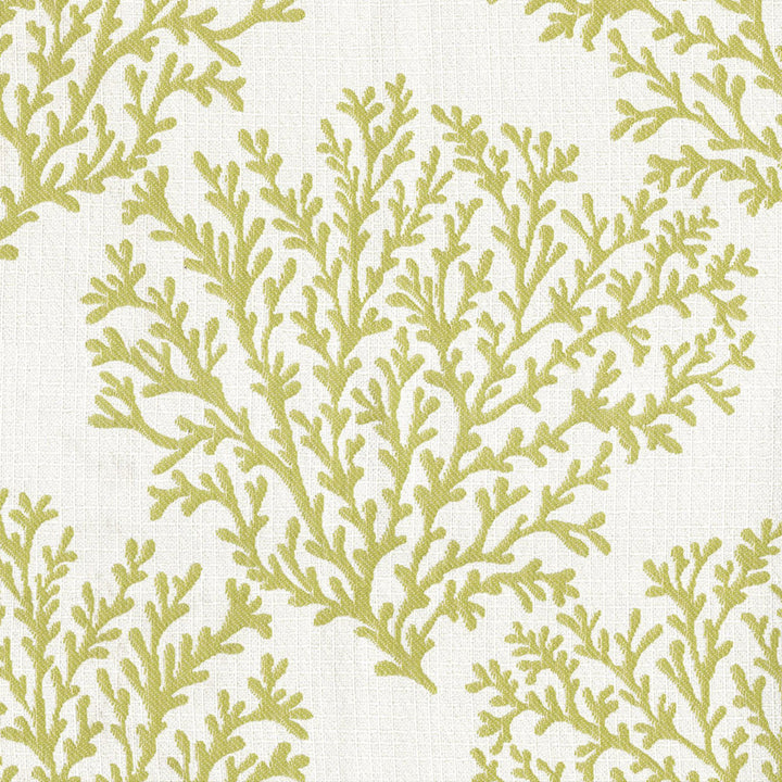 F4591 Fern by Greenhouse Designer Fabric 100% Solution-Dyed Polyester China 50,000 </p><p>Repeat: 14.5" H, 15.25" V 56" - Swanky Fabrics -