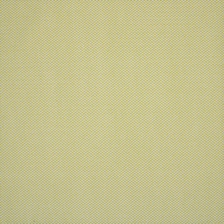 F4592 Spring by Greenhouse Designer Fabric 100% Solution-Dyed Polyester China 80,000 </p><p>Repeat: None 56" - Swanky Fabrics -