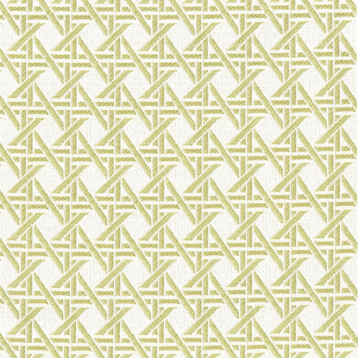 F4595 Fern by Greenhouse Designer Fabric 100% Solution-Dyed Polyester China 50,000 </p><p>Repeat: 1.23" H, 1.23" V 56" - Swanky Fabrics -