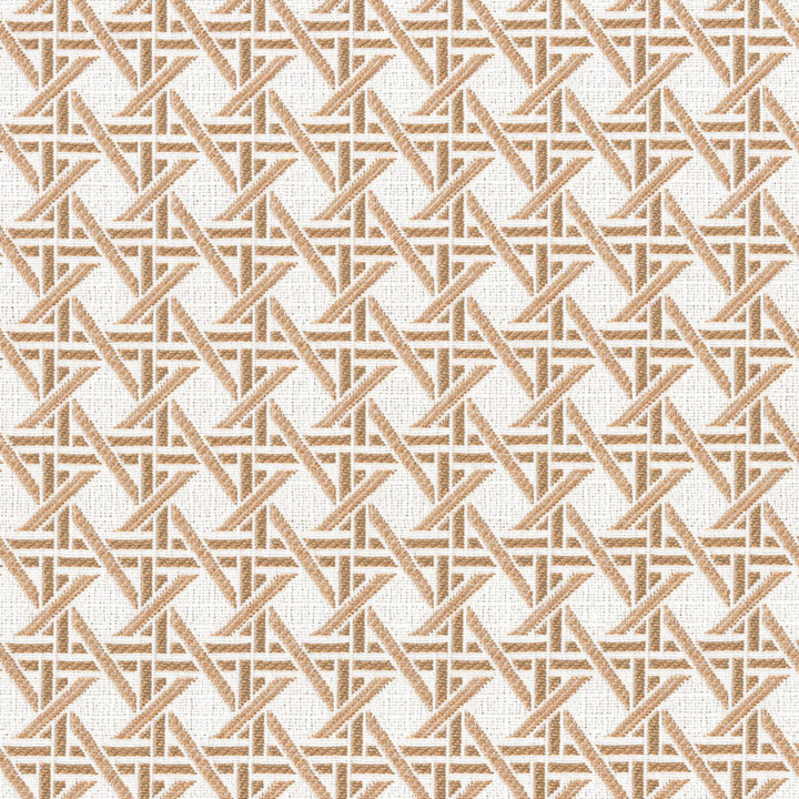 F4620 Canyon by Greenhouse Designer Fabric 100% Solution-Dyed Polyester China 50,000 </p><p>Repeat: 1.23" H, 1.23" V 56" - Swanky Fabrics -