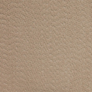 F4669 Flannel by Greenhouse Designer Fabric