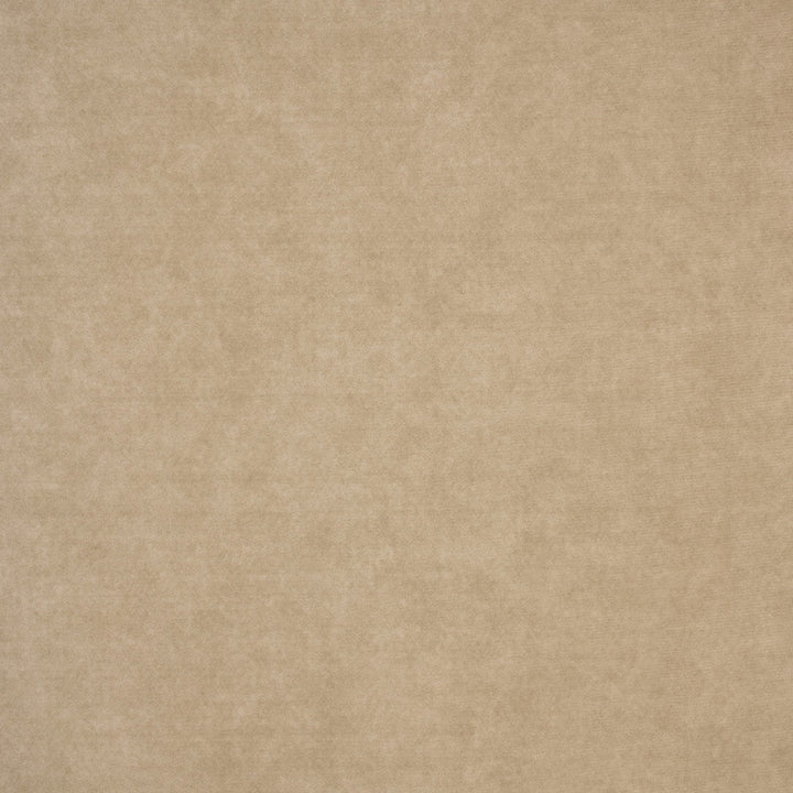 F4887 Dust by Greenhouse Designer Fabric 100% Polyester China 30,000 </p><p>Repeat: None 54" - Swanky Fabrics -