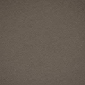 F4913 Medium Grey by Greenhouse Designer Fabric