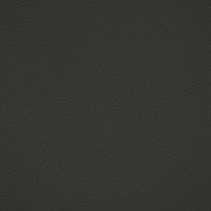 F4915 Charcoal by Greenhouse Designer Fabric