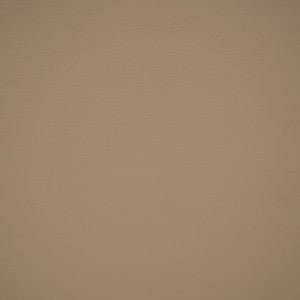 F4964 Pumice by Greenhouse Designer Fabric
