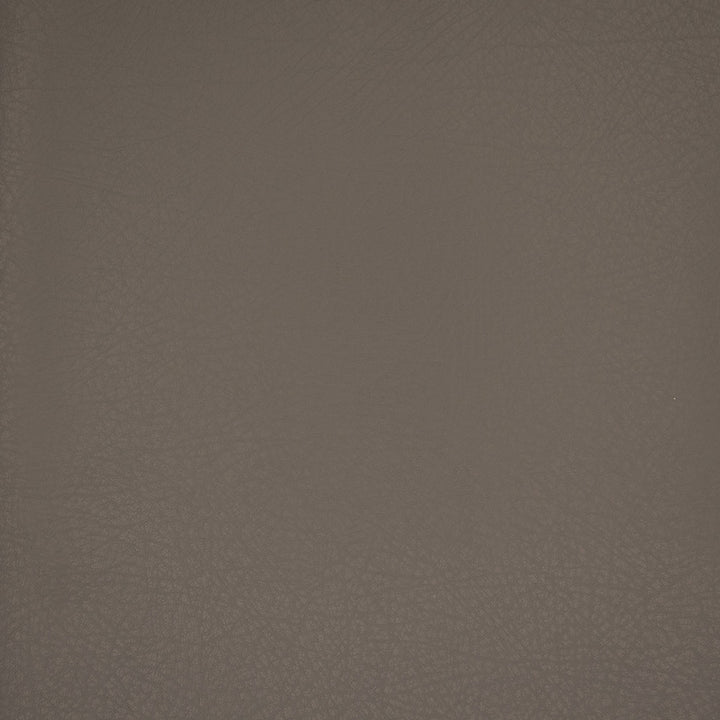 F4980 Oxford by Greenhouse Designer Fabric Face: 100% Pu, Back: 100% Polyester China 100,000 </p><p>Repeat: None 54" - Swanky Fabrics -