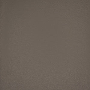 F4980 Oxford by Greenhouse Designer Fabric