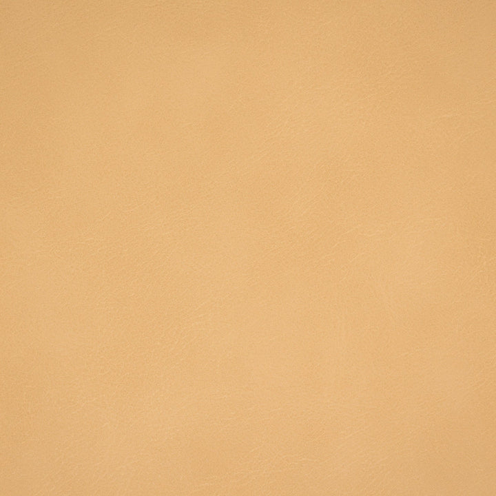 F4982 Cream by Greenhouse Designer Fabric Face: 100% Pvc, Back: 100% Polyester China 100,000 </p><p>Repeat: None 54" - Swanky Fabrics -