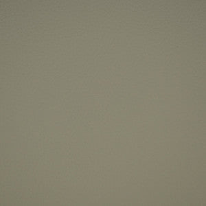 F4989 Fog by Greenhouse Designer Fabric