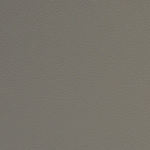 F5005 Horizon by Greenhouse Designer Fabric