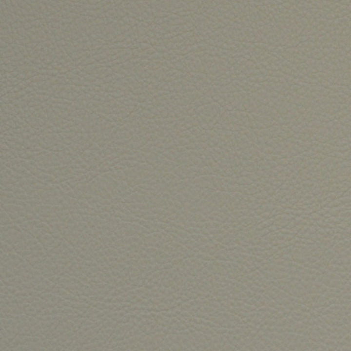 F5006 Gypsum by Greenhouse Designer Fabric Face: 100% Pvc, Back: 100% Polyester Taiwan 500,000 </p><p>Repeat: None 54" - Swanky Fabrics -
