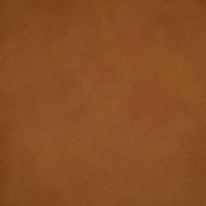 F5025 Saddle by Greenhouse Designer Fabric Face: 100% Pvc, Back: 100% Polyester China 100,000 </p><p>Repeat: None 54" - Swanky Fabrics -