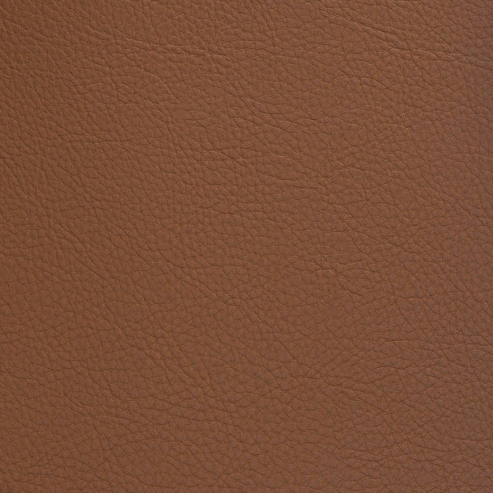 F5026 Rodeo by Greenhouse Designer Fabric Face: 100% Pvc, Back: 100% Polyester Taiwan 500,000 </p><p>Repeat: None 54" - Swanky Fabrics -