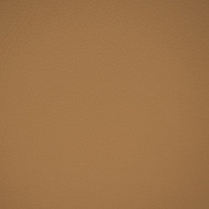 F5029 Buckskin by Greenhouse Designer Fabric