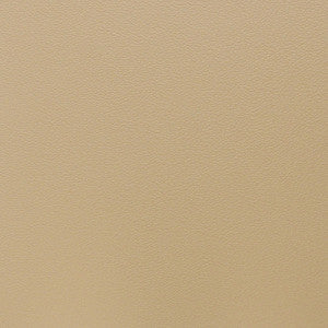 F5030 Sand by Greenhouse Designer Fabric