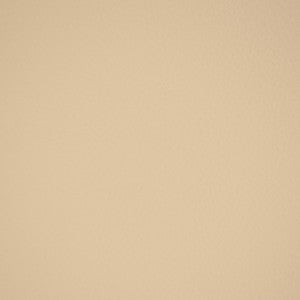 F5031 Cream by Greenhouse Designer Fabric