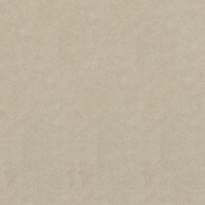 F5050 Flax by Greenhouse Designer Fabric 100% Vinyl, Backing: 100% Polyester China 1,500,000 </p><p>Repeat: None 54" - Swanky Fabrics -