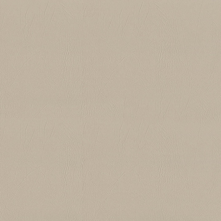 F5054 Ecru by Greenhouse Designer Fabric 100% Vinyl, Backing: 100% Polyester China 1,500,000 </p><p>Repeat: None 54" - Swanky Fabrics -